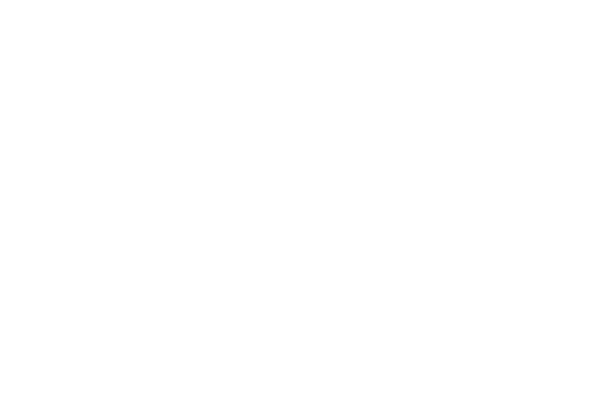 AQUILA标志